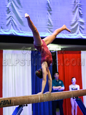 HSM_0339
