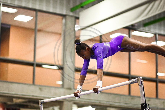 TAZ11057