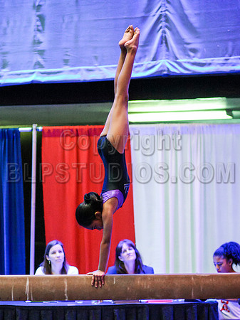 HSM_5533