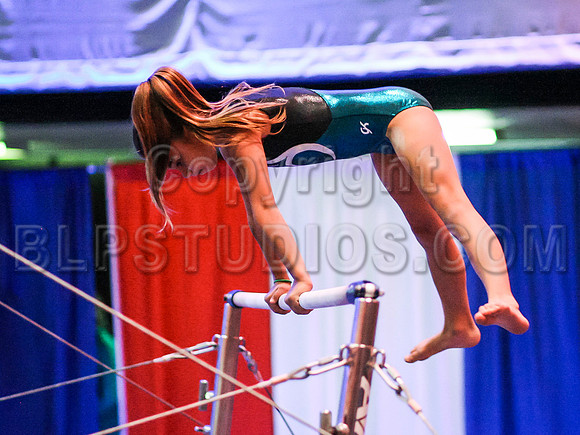 HSM_5931