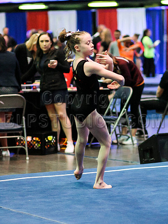HSM_0528