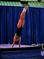 HSM_1574