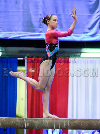 HSM_1449