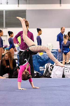 HSM_3537