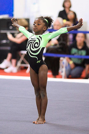 TAZ22013