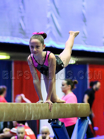 HSM_2428