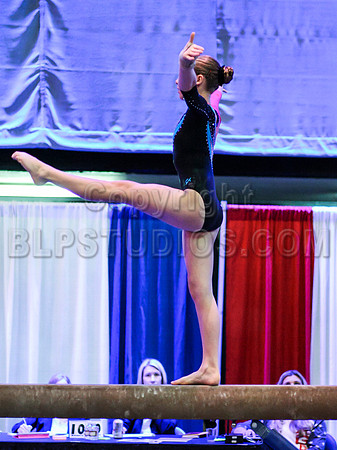 HSM_1453