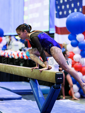 HSM_0210