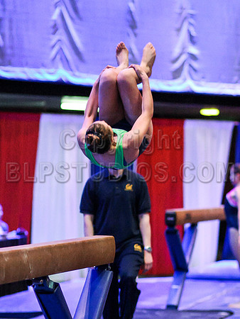 HSM_3313