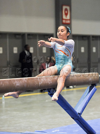 BEC_0080