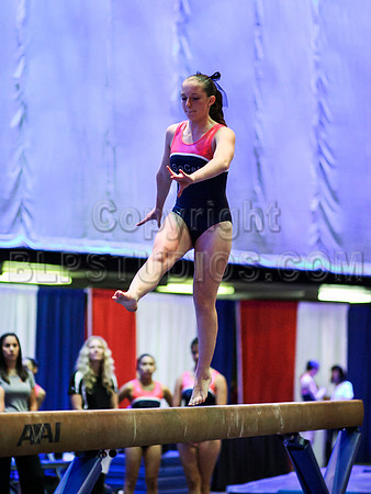 HSM_2653