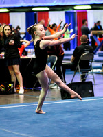 HSM_0529