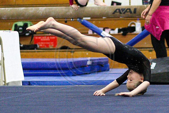 TAZ24730