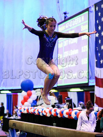 HSM_0241