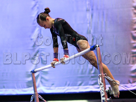 HSM_0485