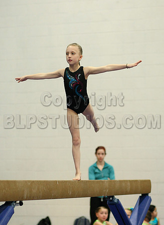 HSM_5368