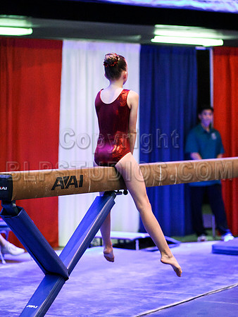 HSM_0379