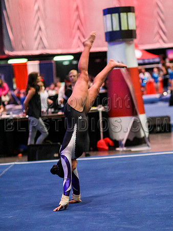 HSM_0939
