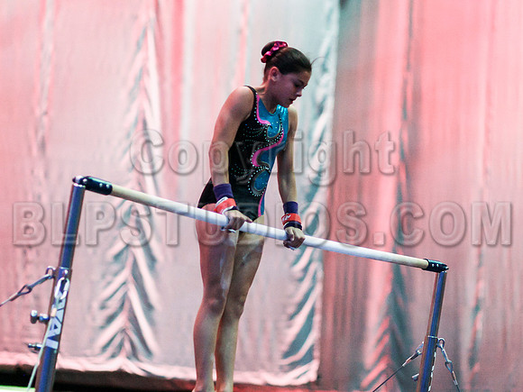 HSM_8196
