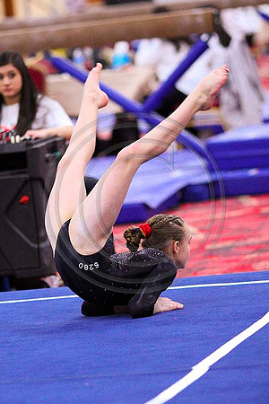 TAZ20136