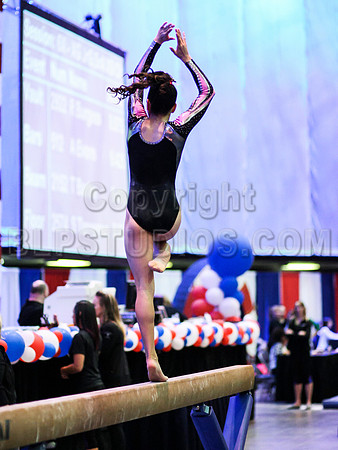 HSM_1041