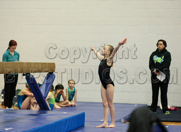 HSM_5338