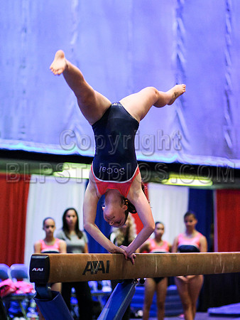 HSM_2672