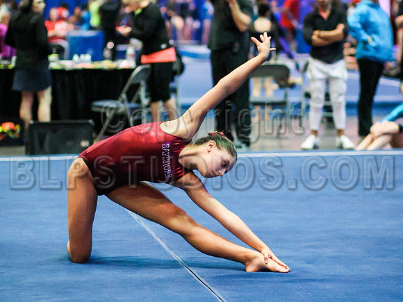 HSM_0969