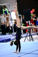 HSM_4473
