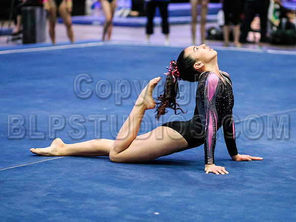 HSM_1578
