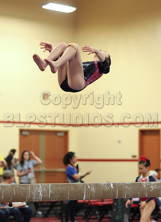 HSM_3644