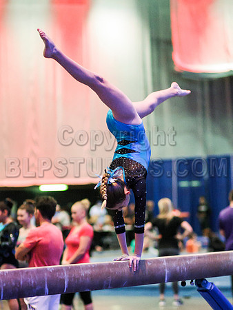 HSM_0260