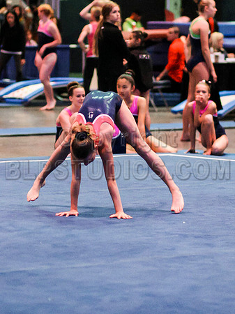 HSM_1642