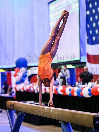 HSM_4263