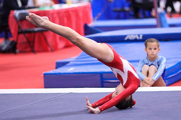 TAZ20102