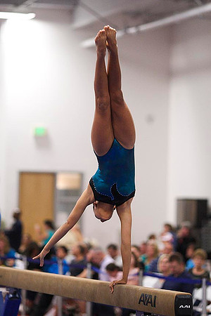 TAZ20096