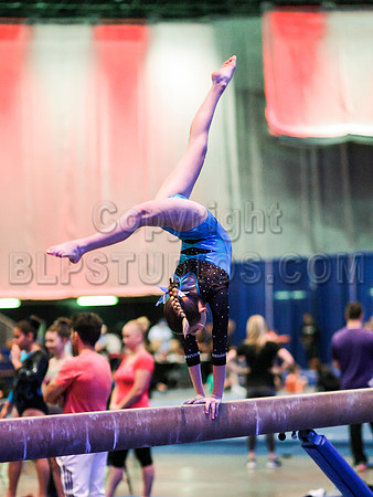 HSM_0259