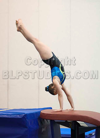 HSM_5313