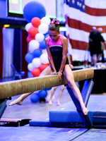 HSM_1133