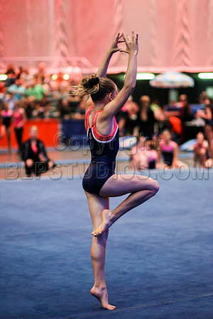 HSM_1663