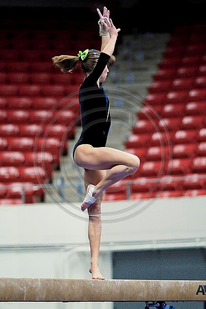 TAZ20125
