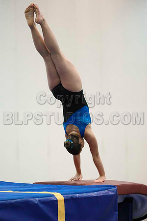 HSM_5331