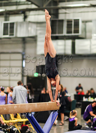 HSM_0970
