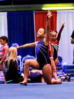 HSM_4484