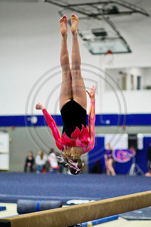 TAZ20107