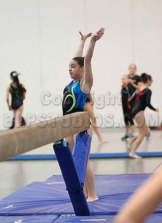 HSM_4733