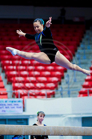TAZ20136