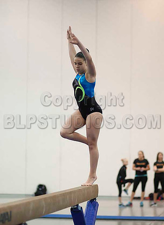HSM_4715