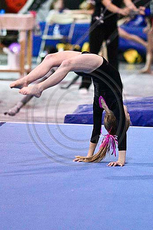 HSM_3561