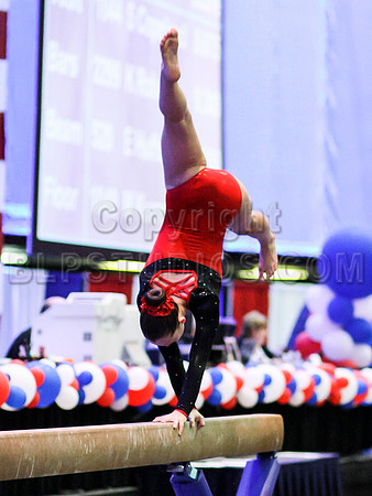 HSM_2016